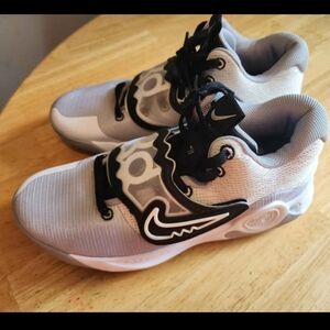 Nike Kd Trey 5 Low Wolf Mens Shoes